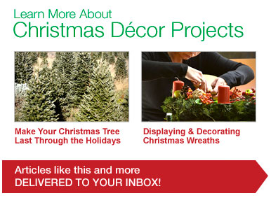 Learn More About Christmas Décor Projects