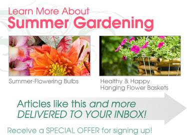 Learn More About Summer Gardening