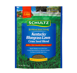 Quick Lawn Grass Seed Mixture
